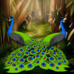 WOW-Beautiful Peacock Love Couple Rescue HTML5
