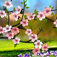 WOW-Blooming Flowers Land Escape HTML5