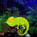 WOW-Chameleon Forest Escape HTML5