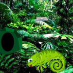 G2R-Chameleon Rain Forest Escape HTML5