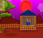 G2J Cock Escape from Cage