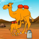 WOW-Collect To The Camel Milk HTML5