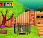 G2J Congo Lion Cub Rescue