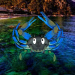 Big Crab Island Escape