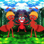 G2R-Crazy Ant Jungle Escape