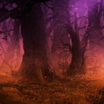 WOW-Dark Foggy Forest Escape HTML5