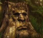 365 Dense Forest Escape