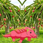 G2R- Dragon Fruit Animal Escape HTML5
