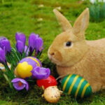G2R-Easter Blue Egg Bunny Escape HTML5