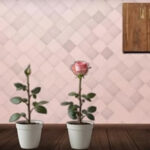 Amgel Easy Room Escape 316