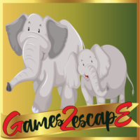 G2E Mommy And Baby Elephants Rescue