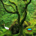 WOW-Enchanted Mossy Green Forest Escape HTML5
