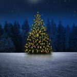 WOW-Escape From Christmas Tree Land HTML5