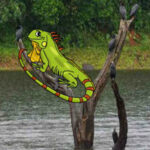 WOW- Escape From Iguana Forest HTML5