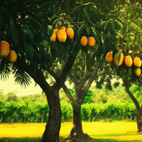 BIG-Escape From Mango Farm HTML5
