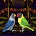 BIG-Escape Love Birds From Forest HTML5