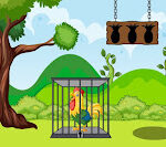 G2J Escape the Clever Rooster in Cage