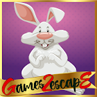 G2E Find Bunny’s Carrot HTML5