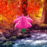 Wow Fall Water Forest Escape HTML5
