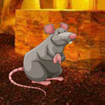 Wow-Feed The Hungry Rat HTML5