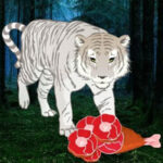 BIG-Feed The Hungry White Tiger HTML5