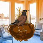BIG-Find My Nest HTML5
