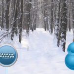 BIG Find Puppy From Winter Land