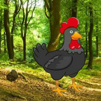 BIG-Find The Black Rooster Pair HTML5