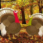BIG-Find The Turkey Pair HTML5