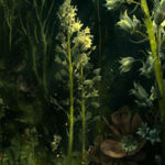 BIG-Flowers Light Forest Escape HTML5