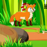 WOW Fox Reach Tasty Vineyard