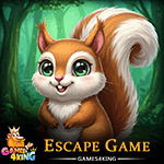 G4K Save Squirrel Escape Game