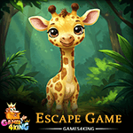 G4K Young Giraffe Rescue Escape