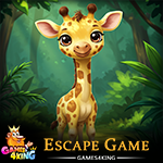 G4K Young Giraffe Rescue Escape