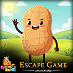 G4K Lucky Peanut Escape Game
