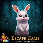 G4K Fluffy Pink Rabbit Rescue Game
