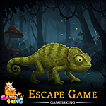 G4K Search for Chameleon
