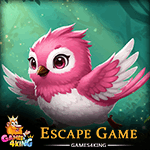 G4K Happy Pink Bierd Escape Game
