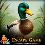G4K Pond Duck Rescue Game