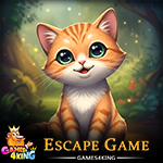 G4K Fluffy Kitten Escape Game