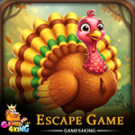 G4K Save the Turkey Game