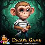 G4K Rogue Monkey Rescue Game