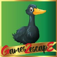 G2E Black Duck Rescue HTML5