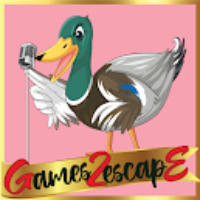 G2E Find Singer Duck Guit…