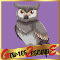 G2E Owl Rescue From Old House HTML5