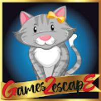 G2E Stylish Grey Cat Rescue HTML5