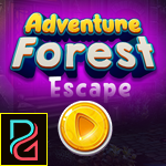 PG Adventure Forest Escape