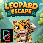 G4K Charmed Leopard Escape