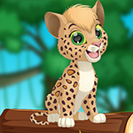G4K Cheerful Leopard Escape