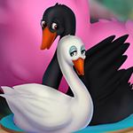 G4K Couple Swan Escape